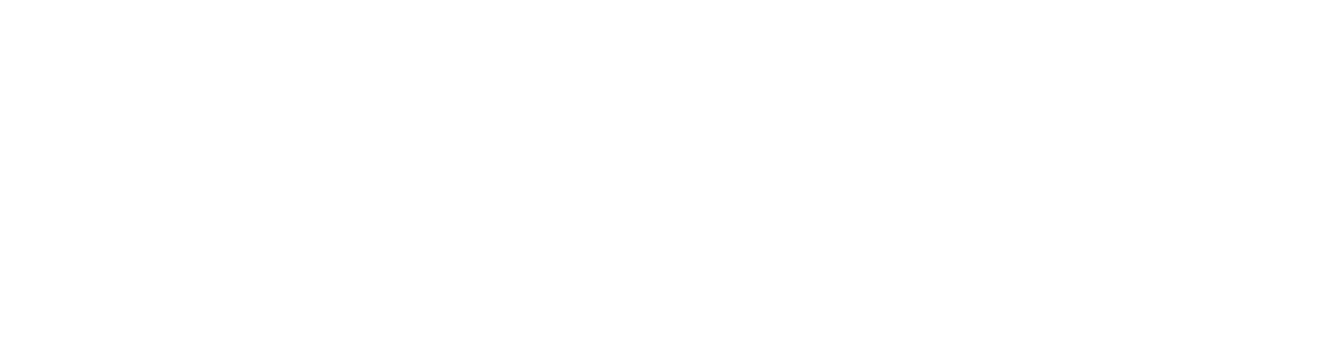 logo RadicalZ