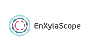Enxylascope_Logo